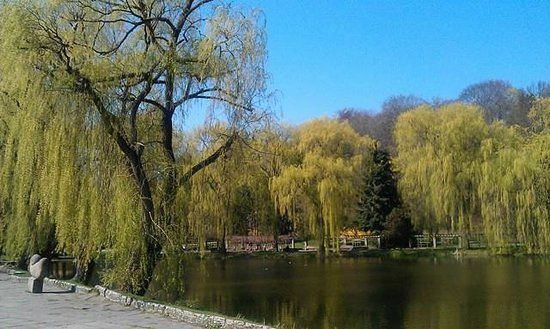 Spacer po Gdańskich uliczkach